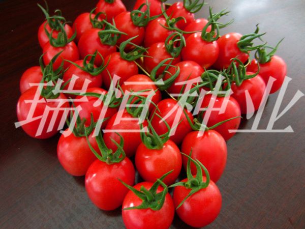 千惠