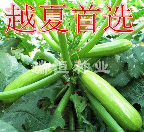 豐收1號(hào)