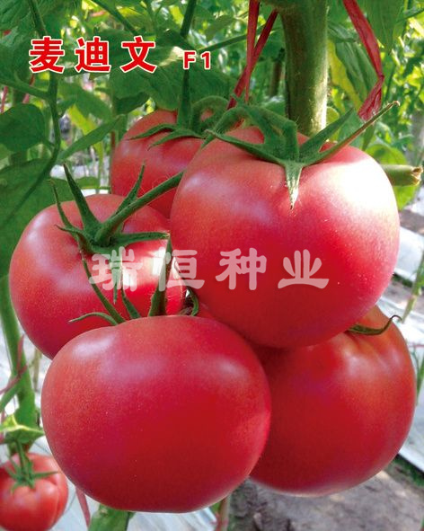 麥迪文
