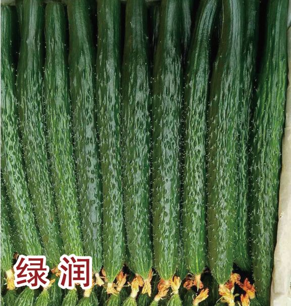 綠潤