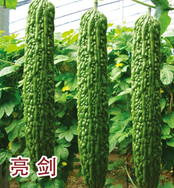 亮劍
